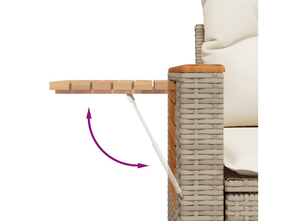 Set di mobili da esterno in vimini intrecciato in resina beige - dlz1766569224799